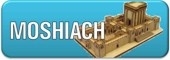moshiach button.jpg
