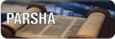 weekly parsha.jpg